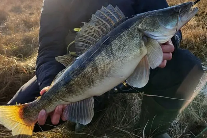 На Волині чоловік спіймав гігантську рибу: яка її вага (фото)