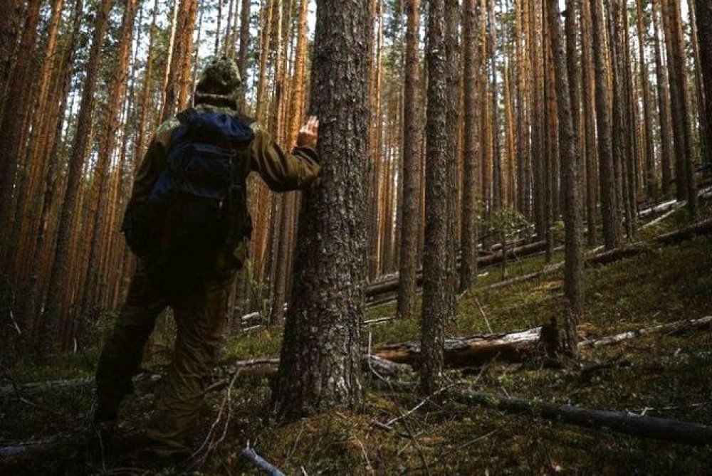 У лісі на Закарпатті два дні шукають зниклого грибника