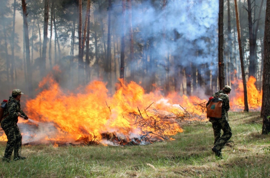 У наступні дні в Україні - високий рівень пожежної небезпеки