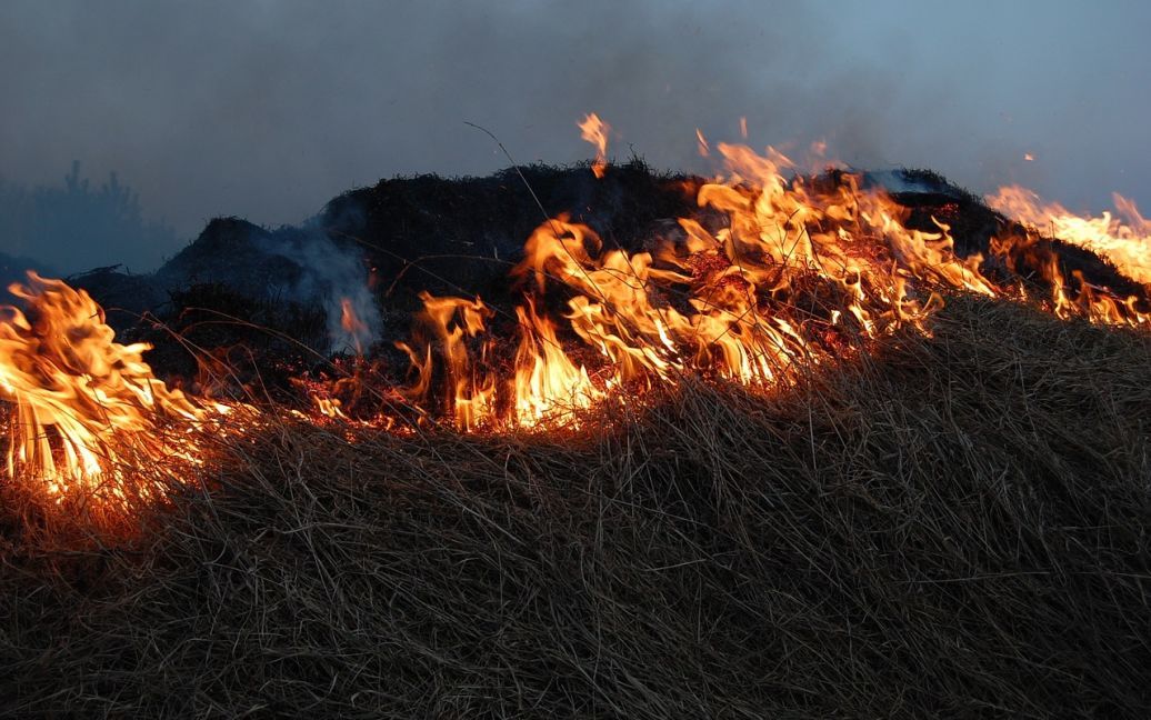 На Буковині під час спалювання сухої трави помер чоловік