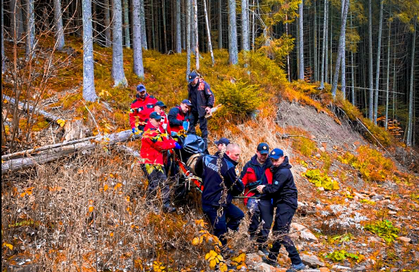 Пішли по гриби і заблукали: мешканця Львівщини знайшли мертвим у лісі