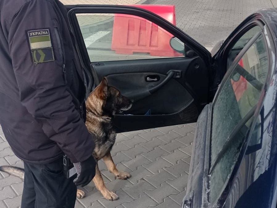 На кордоні з Польщею собака винюхав "травичку" в кишені у водія