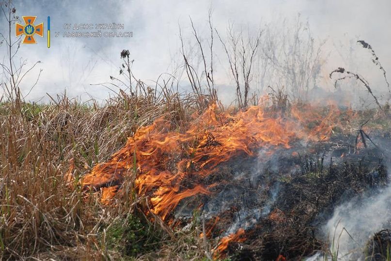 У Буську 81-річна жінка отримала опіки, коли спалювала сухостій